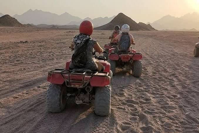 Group riding ATVs in desert, showcasing 3-hour Safari with Quad-Bike and Camel Ride, emphasizing adventure through vast dunes and cultural exploration of Bedouin lifestyle.
