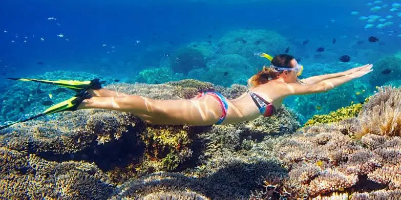 Snorkeling in Abu Dabbab, Marsa Alam - TOURSTAR HURGHADA