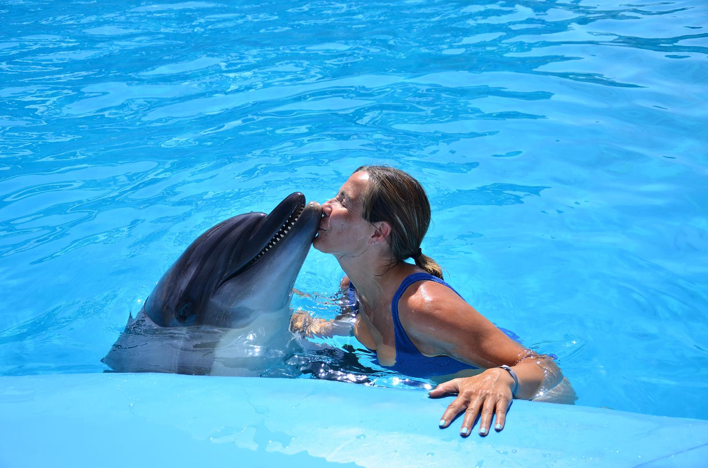 A lady in the pool gives a dolphin a kiss :)