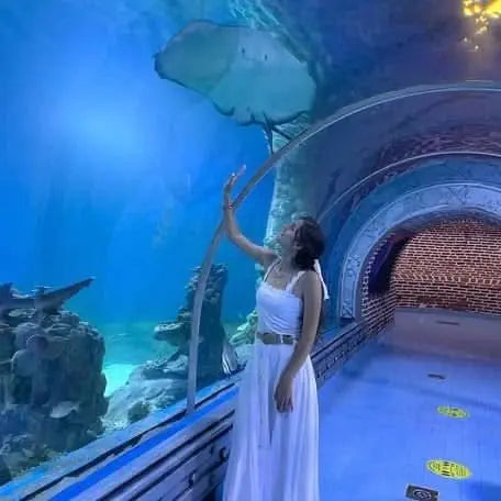 Woman in white dress touching aquarium at Hurghada Grand Aquarium, showcasing diverse marine life, emphasizing conservation and educational experiences.