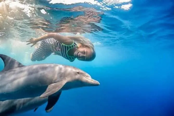 Sharm El Naga Snorkeling Tour: A girl swimming with a dolphin, showcasing the marine adventure available in this snorkeling paradise.