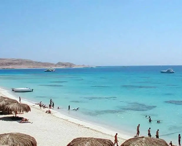 Snorkeling excursion to Mahmya Island with lunch, featuring a vibrant beach scene with boats, palm trees, and a clear sky, showcasing the Red Sea's beauty.