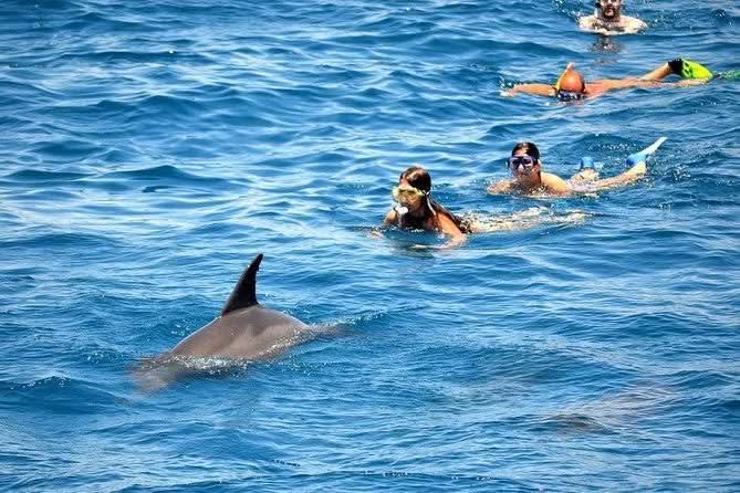 People swimming with a dolphin highlight the Sharm El Naga Snorkeling Tour, offering an unforgettable snorkeling experience in a pristine underwater paradise.