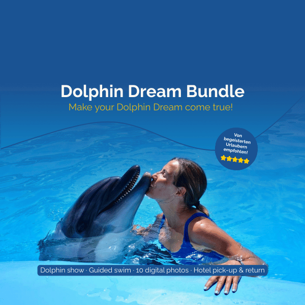 Delfin Dream Bundle