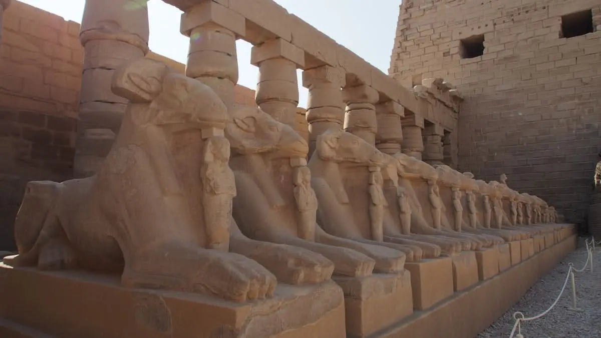 Rząd starożytnych egipskich kamiennych posągów w Luksorze, prezentowany podczas jednodniowej wycieczki do Luksoru z noclegiem, pokazującej historyczne i kulturowe atrakcje.