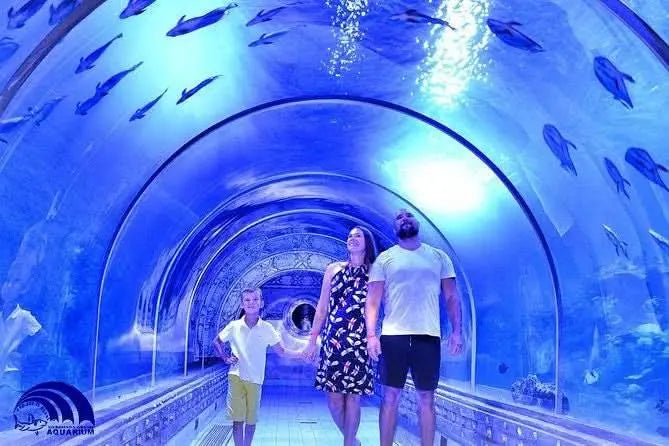 Visitors walking through a tunnel at Hurghada Grand Aquarium, surrounded by fish, highlighting its immersive underwater experience and educational focus on marine conservation.