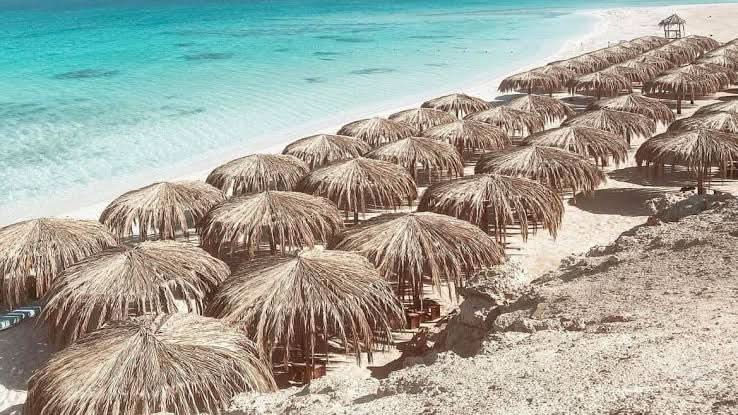 Straw umbrellas on a tropical beach, representing Paradise Island with private speedboat & snorkeling tour, offering adventure and relaxation in a scenic setting.