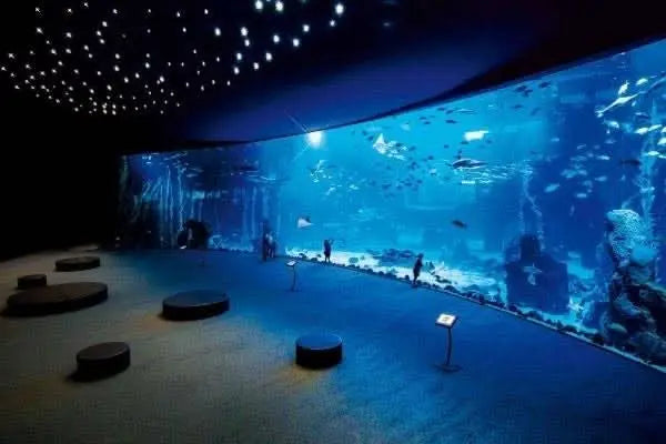Hurghada Grand Aquarium features a vast underwater world with diverse marine life, large viewing windows, and interactive exhibits for education and conservation awareness.