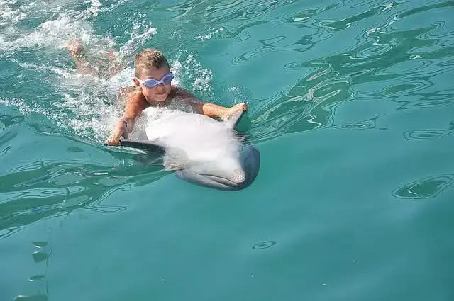 Boy swimming with a dolphin, illustrating the Schwimmen mit Delfinen – 10 Minuten adventure, showcasing close interaction and joy in a marine setting.