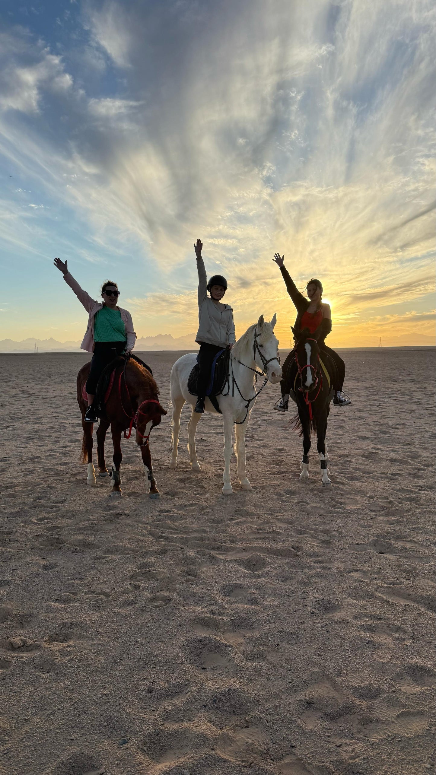 🐎🌊 "Morze i pustynia w jeden dzień, Twoja ekskluzywna oferta na Insta!