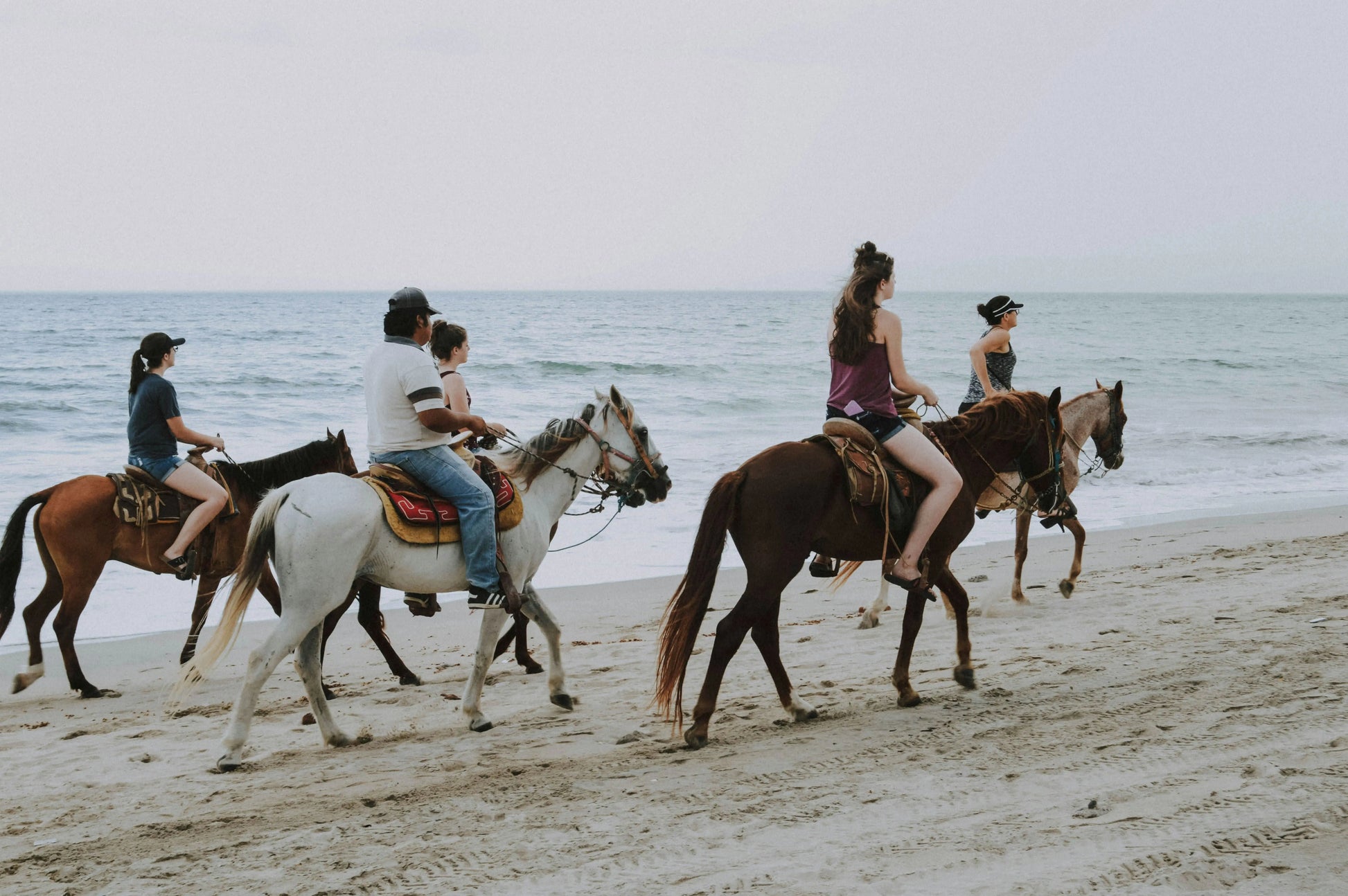 Horse riding (3 hours): A group of people riding horses along a picturesque beach, highlighting a serene equestrian adventure by the sea.