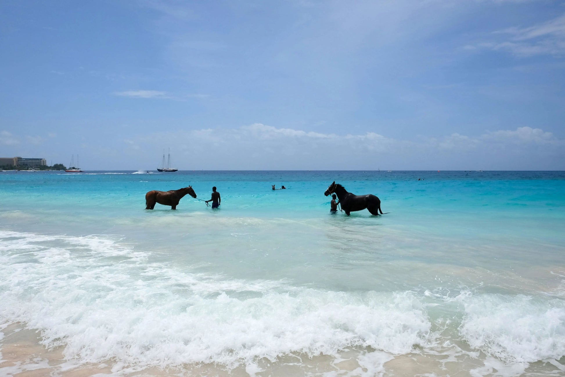 Horse riding (3 hours): Experience serene horse riding in water, capturing the essence of Red Sea adventures with peaceful horses and picturesque landscapes.