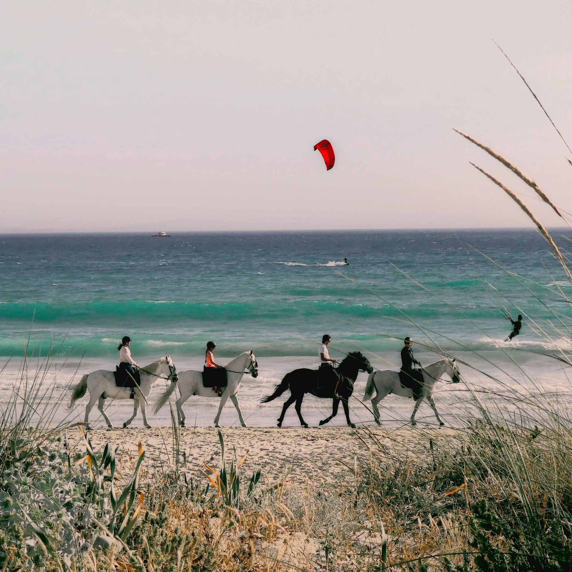 Horseback riding on a beach, showcasing an adventure from horseback riding (3 hours), with riders experiencing serene beach scenery, embodying positive energy and tranquility.