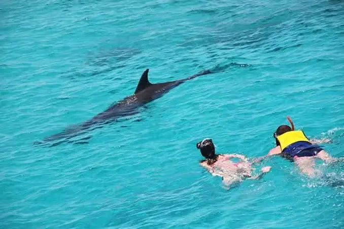 Paradise Island Snorkeling Tour - TOURSTAR HURGHADA