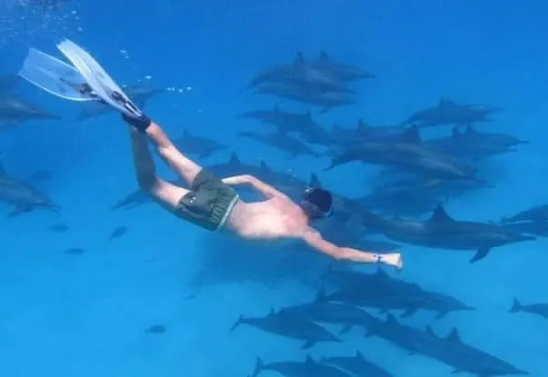 Paradise Island Snorkeling Tour - TOURSTAR HURGHADA
