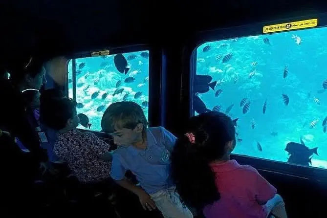 Children fascinated by marine life peer through the Royal Sea Scope's glass bottom, showcasing vibrant fish and coral in an unforgettable family adventure.