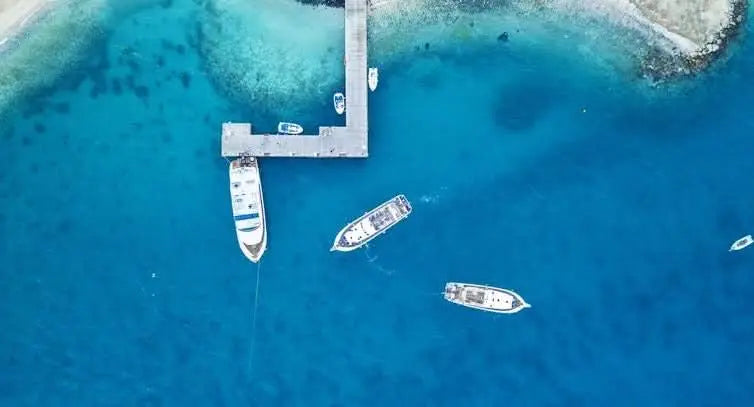 Снорклинг в Абу-Даббабе, Марса-Алам - TOURSTAR HURGHADA