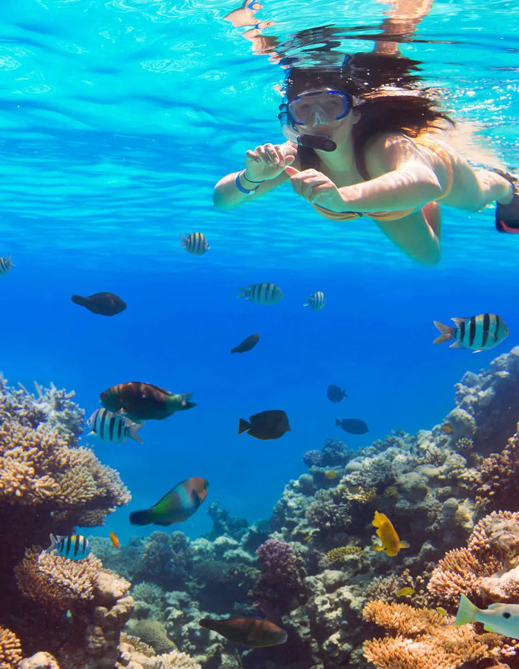 You can see corals and underwater animals in the sea