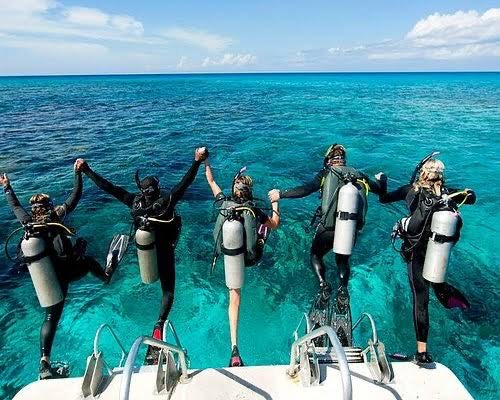 Snorkeling trip with private boat 