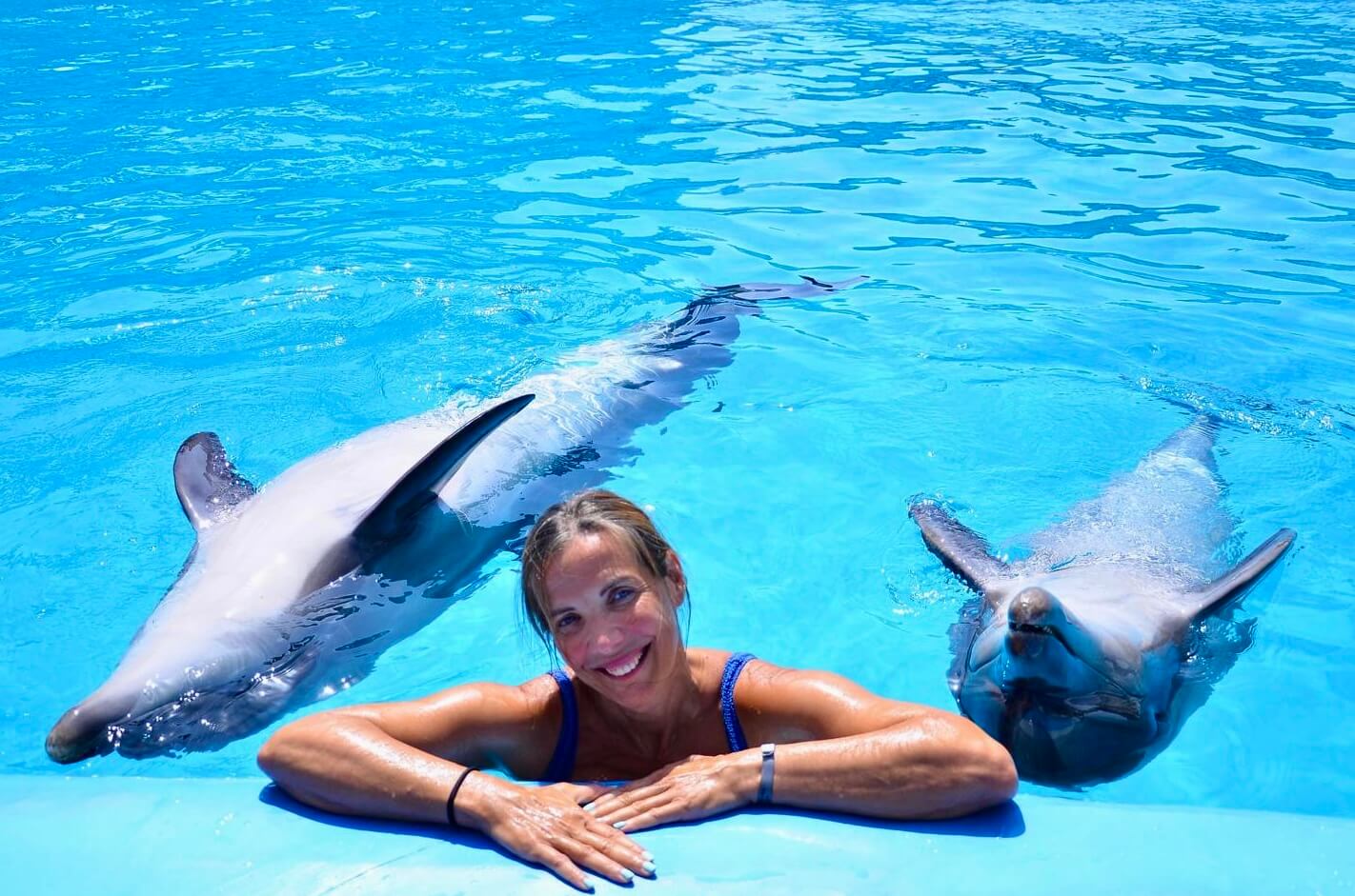 Delfin Dream Bundle