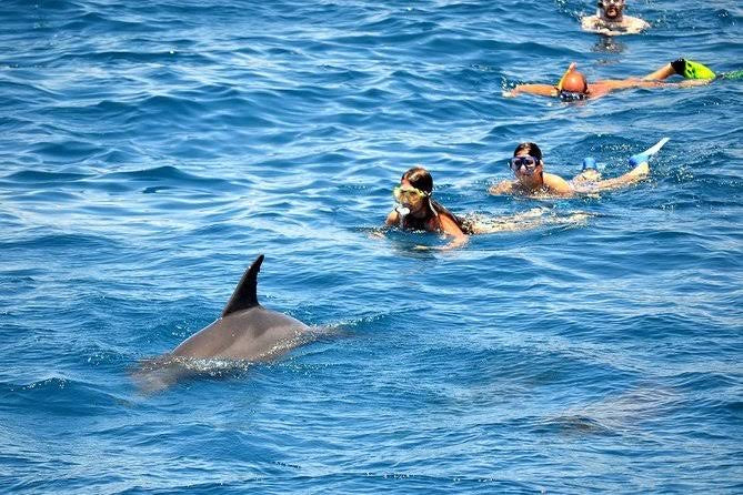 Snorkeling trip with private boat 