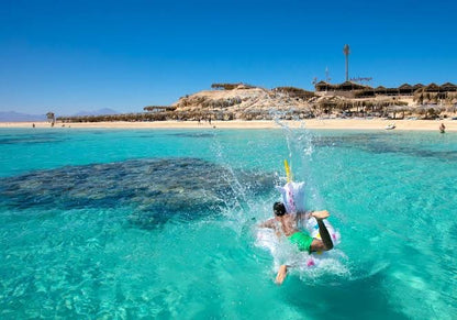 Schnorcheln in Abu Dabbab, Marsa Alam