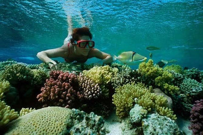 Snorkeling in Abu Dabbab, Marsa Alam 