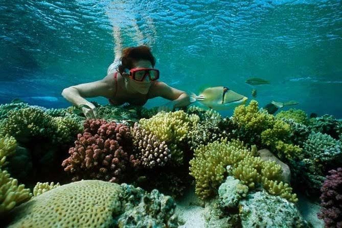 Sharm El Naga Snorkeling Tour 