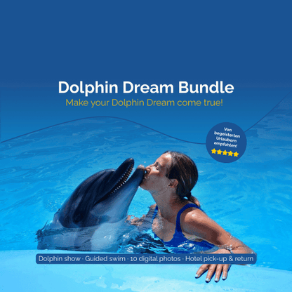 Delfin Dream Bundle