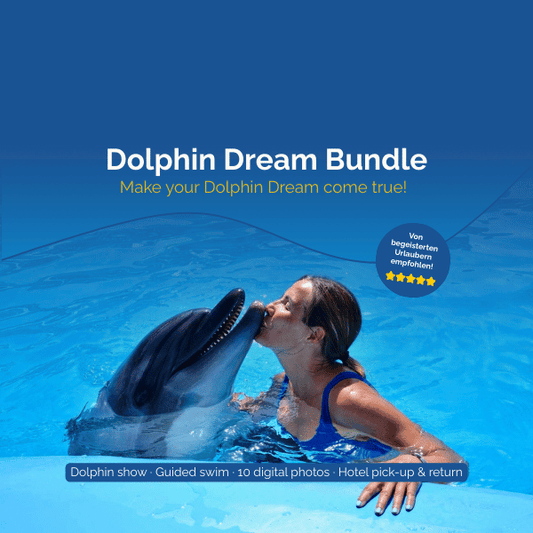 Dolphin Dream Bundle