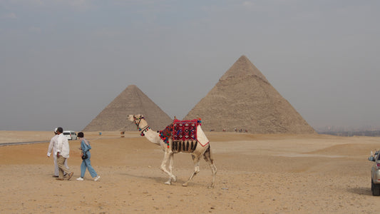 Cultural tour to Cairo (incl. overnight stay)