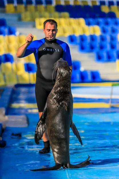 Swimming with dolphins – 5 minutes 