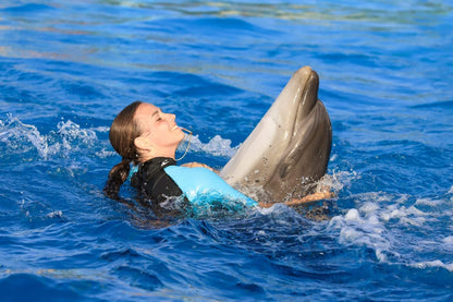 Swimming with dolphins - 10 minutes