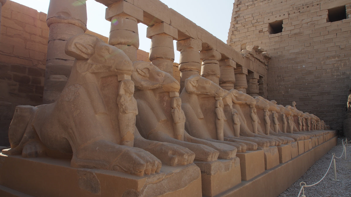 Day tour to Luxor incl. overnight stay