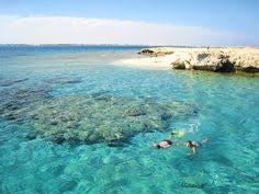 Snorkeling in Abu Dabbab, Marsa Alam 