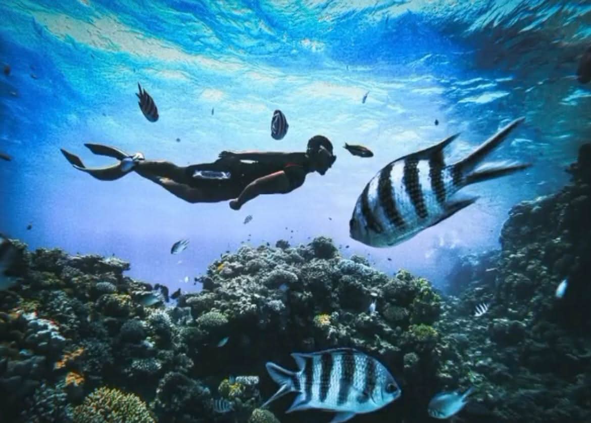 Hula Hula Island