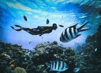 Hula Hula Island