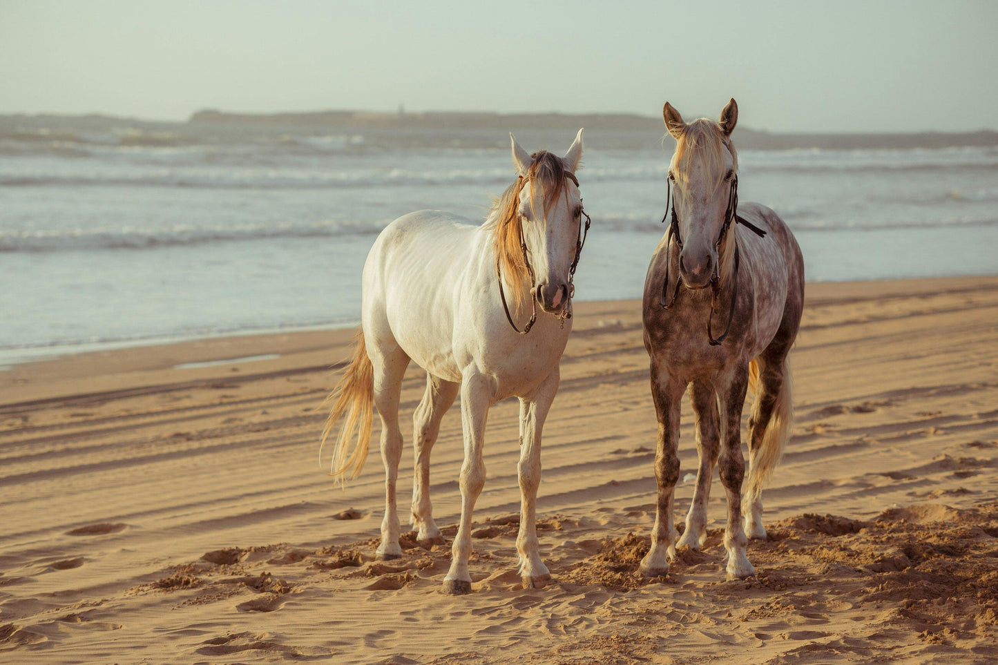 Horseriding Adventure (3 Hours)