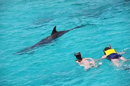 Paradise Island Snorkeling Tour - TOURSTAR HURGHADA